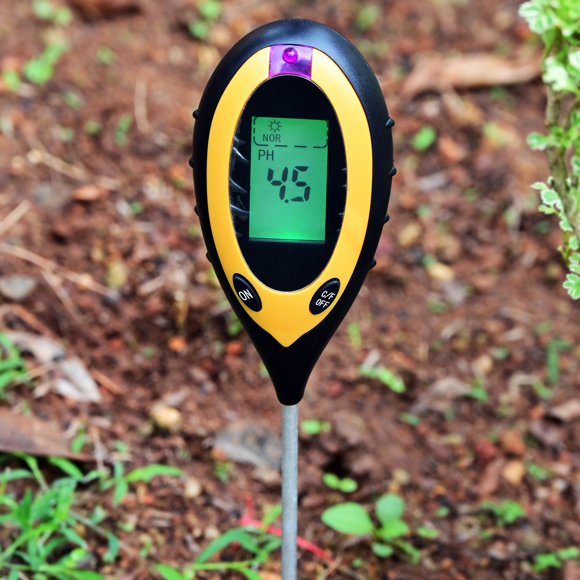 Digital soil pH testing kit, used to measure soil acidity and alkalinity in the garden.