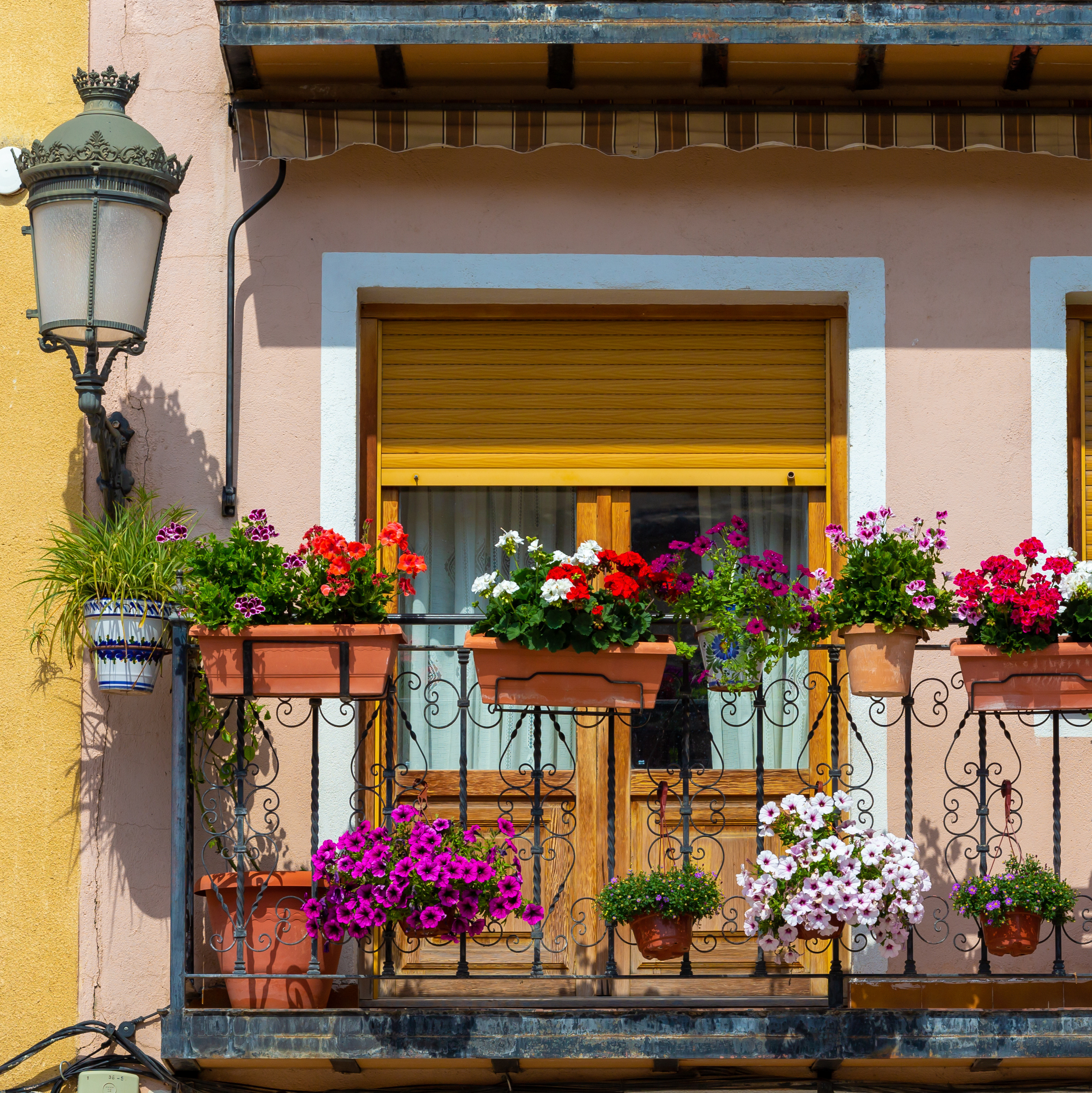 Balcony garden with colourful flowering plants growing in rail planters and pots to maximise a small outdoor space