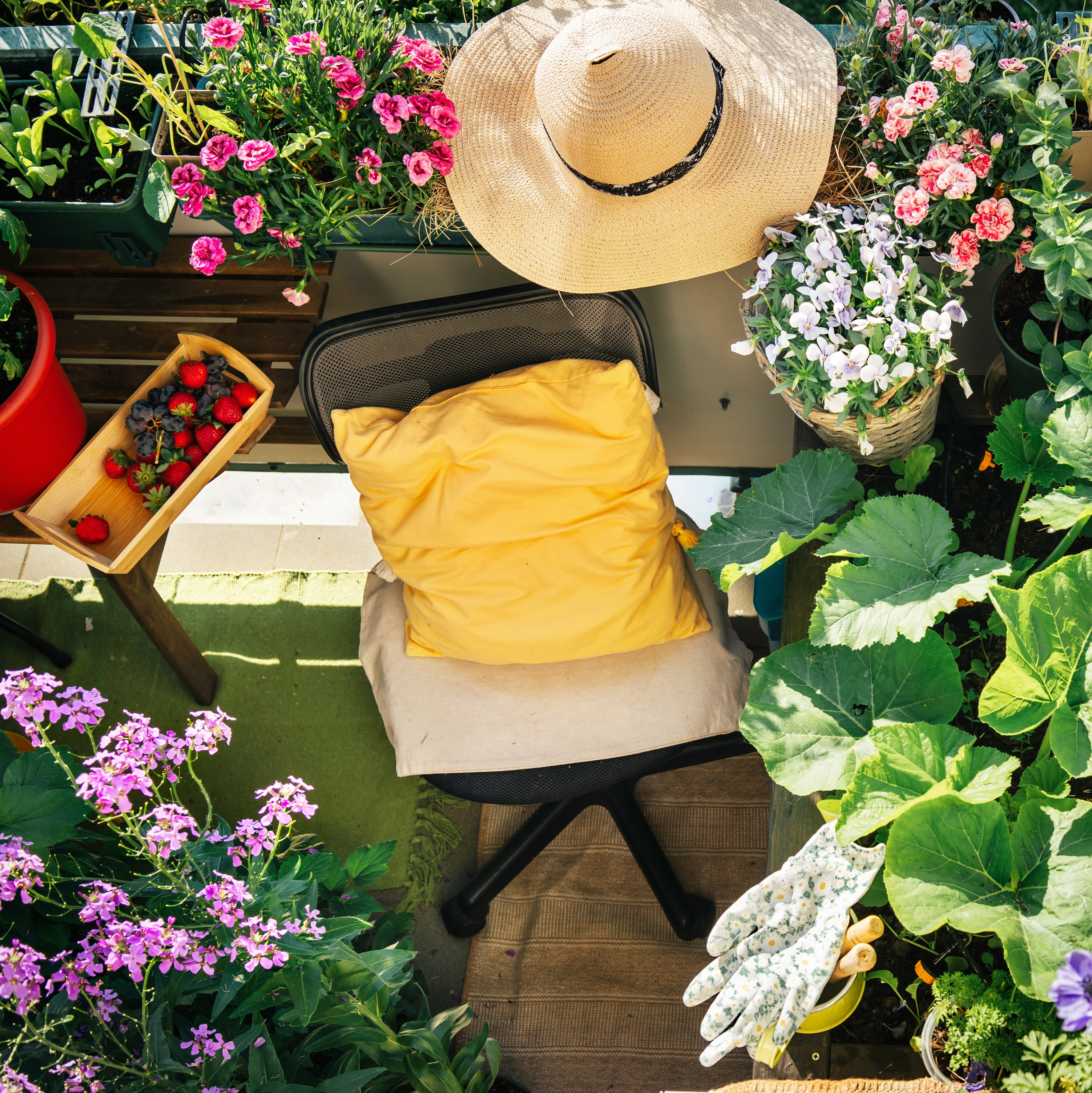 Balcony transformed into a colourful garden with flowering plants, edible crops and a comfortable seating area