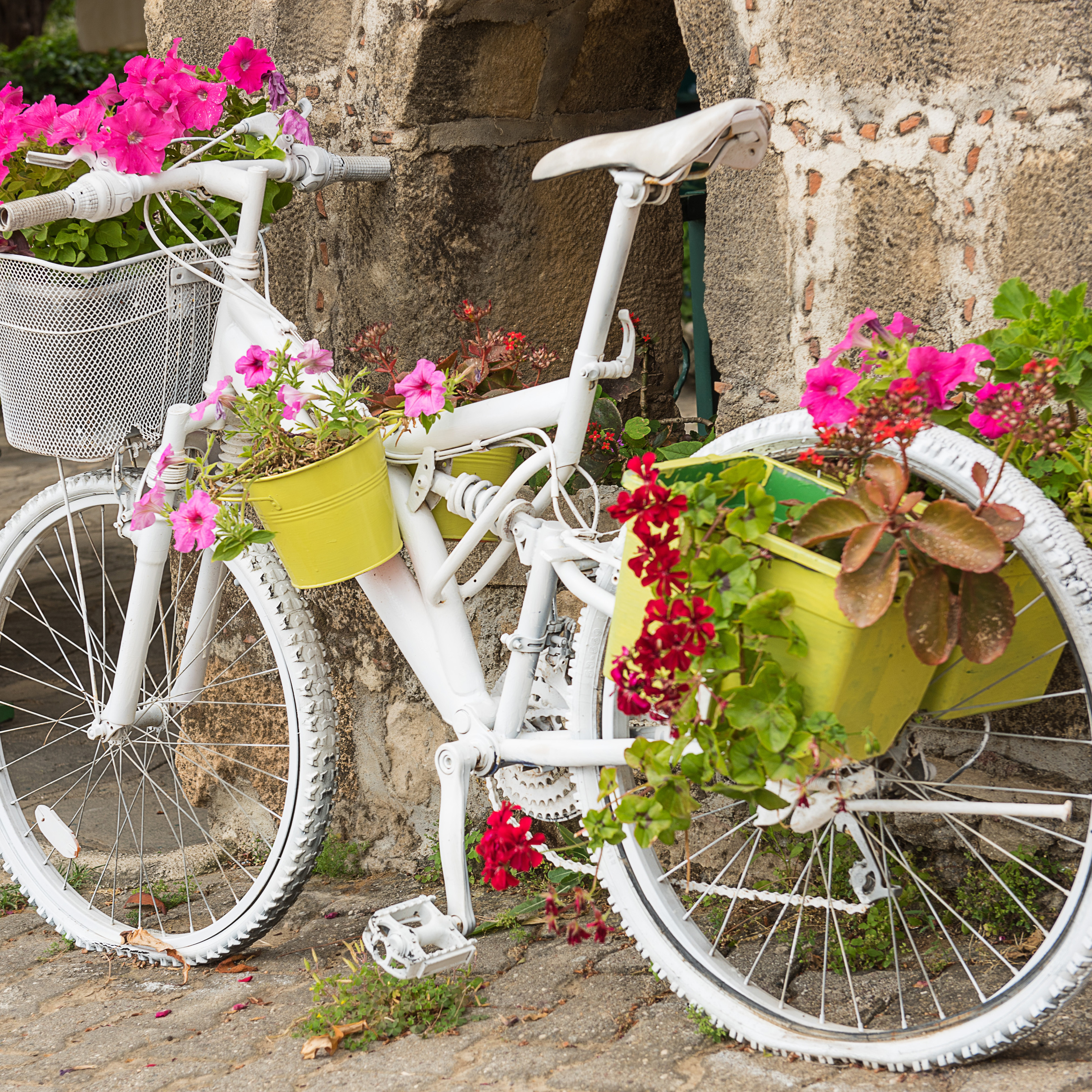 Creative garden upcycling idea using a vintage bicycle as a decorative flower planter and garden focal point.