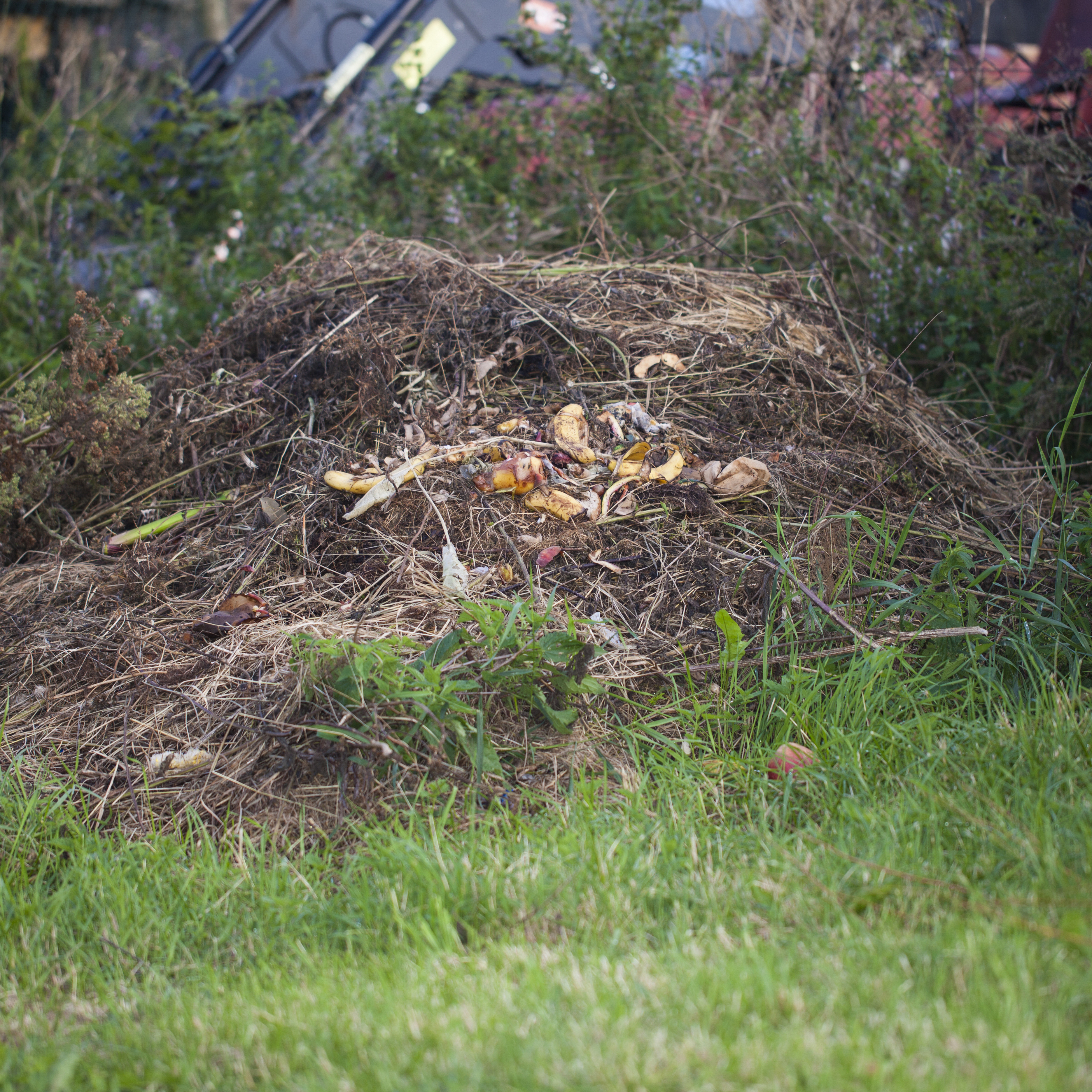 Open compost heap made from layers of garden waste, grass cuttings and kitchen scraps.