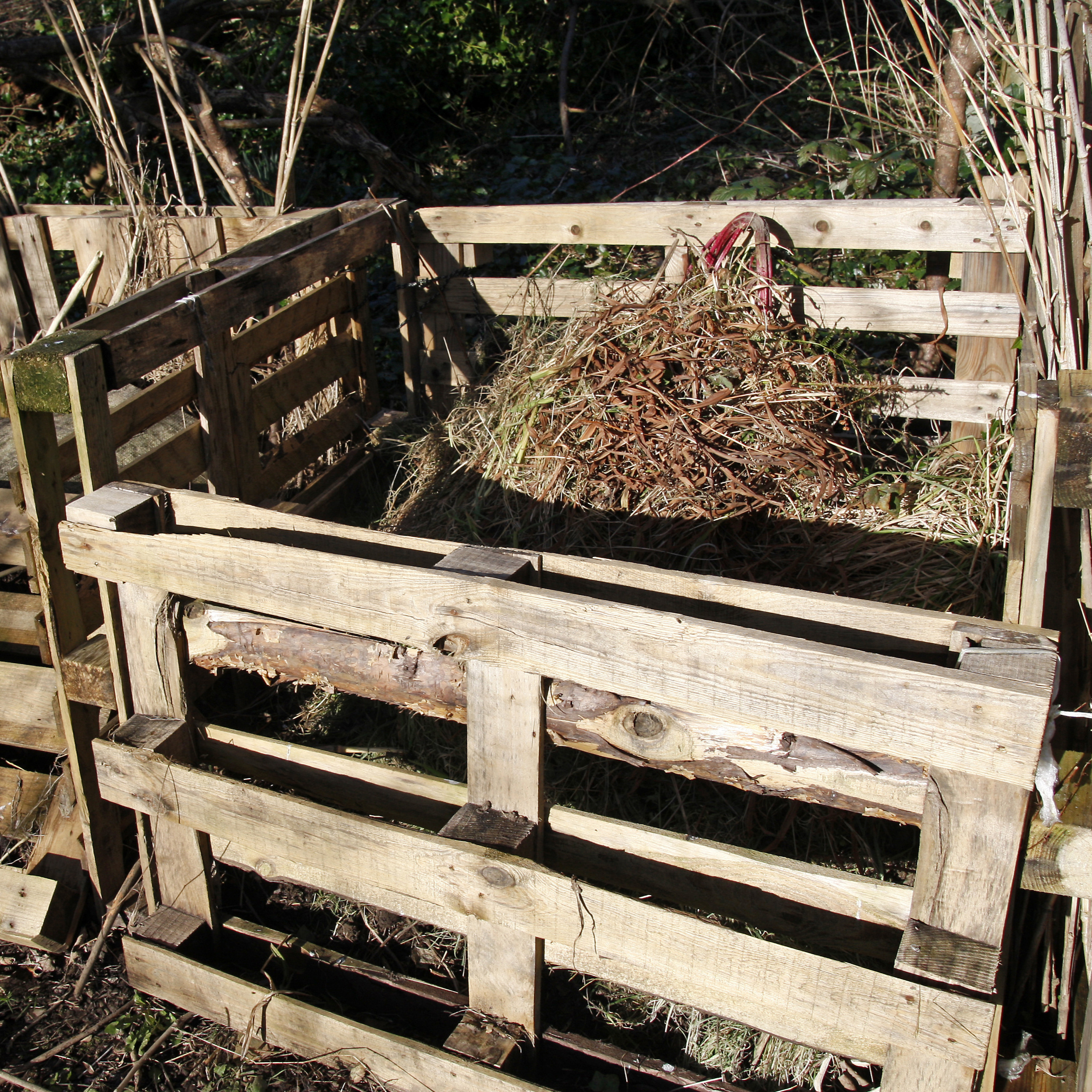 Compost bin made from recycled wooden pallets, filled with garden cuttings and organic garden waste.