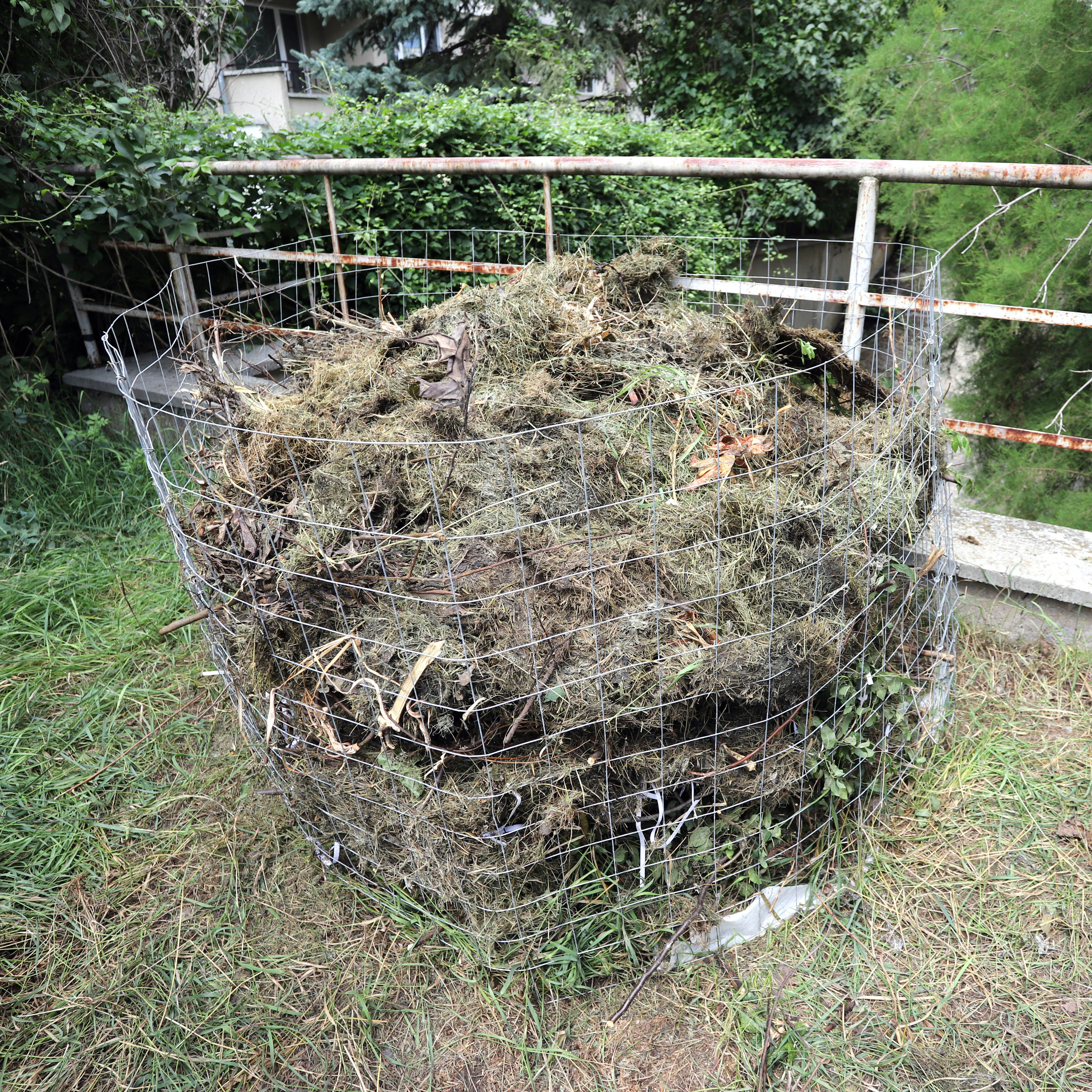Compost bin made from wire mesh, filled with grass clippings, leaves and other garden waste.