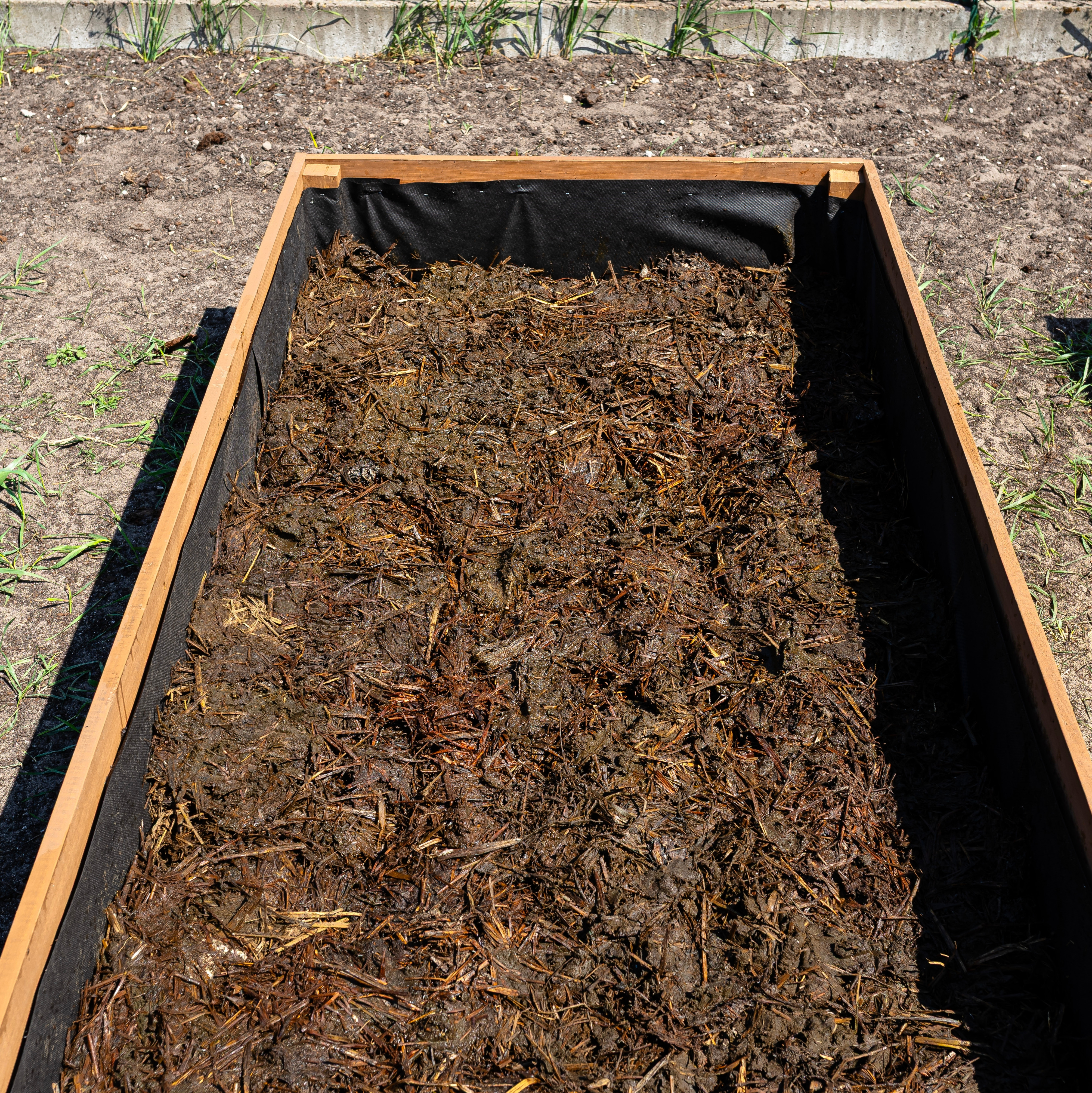 A wooden raised garden bed filled with rich dark soil.