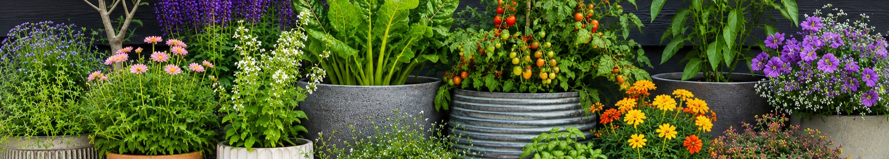 A representation of a colourful container garden with ornamental plants and vegetables in pots