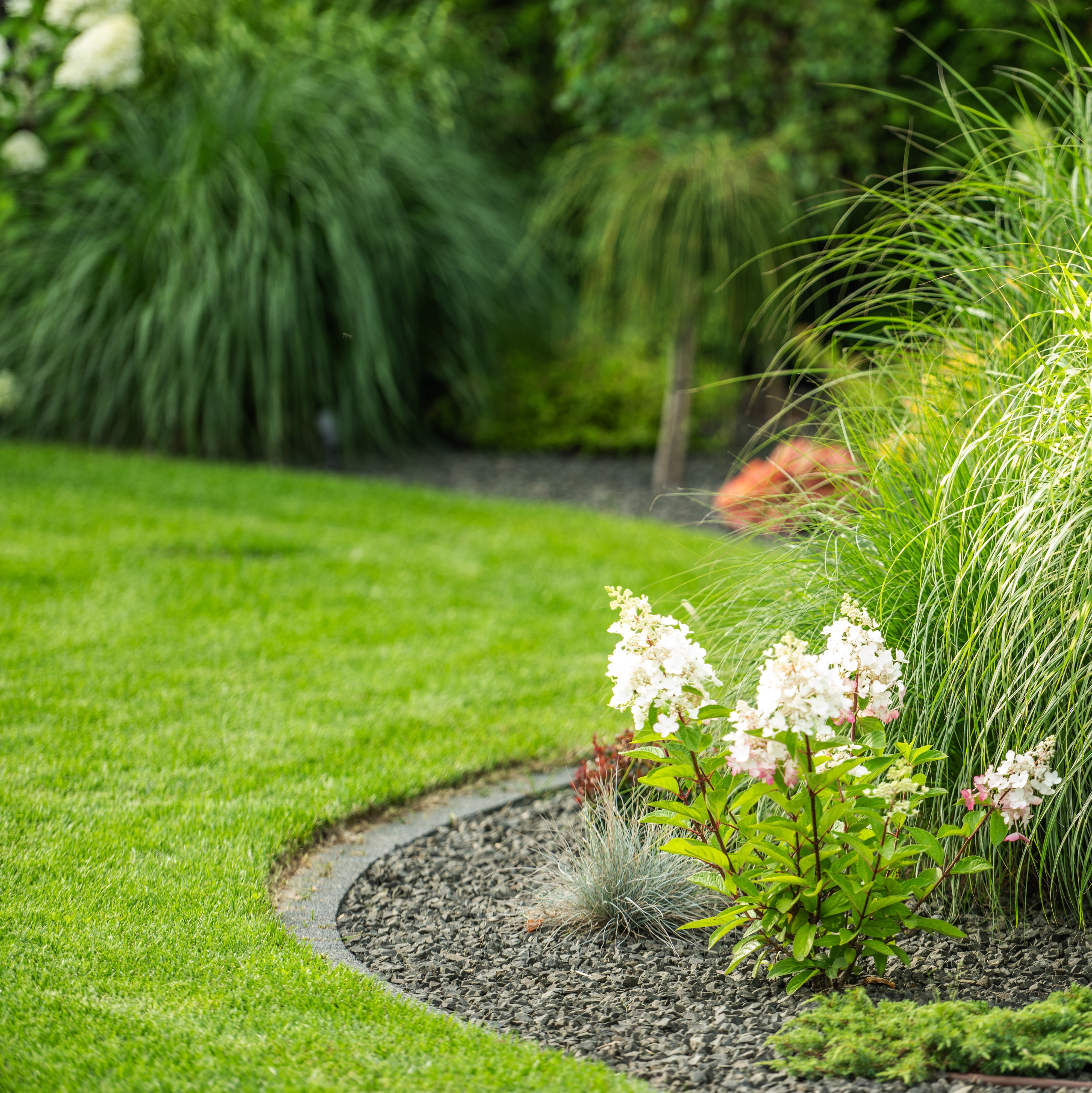Garden Design with curved edges