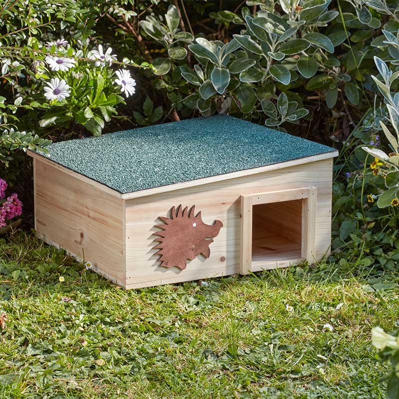Wooden hedgehog house in a sheltered garden setting.