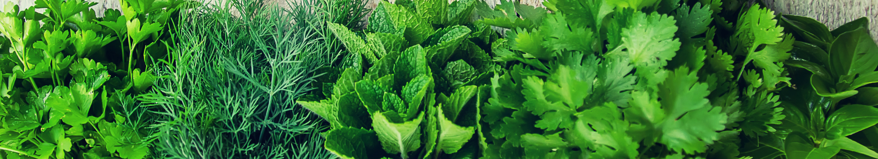 Close-up of a mixed herb leaves.