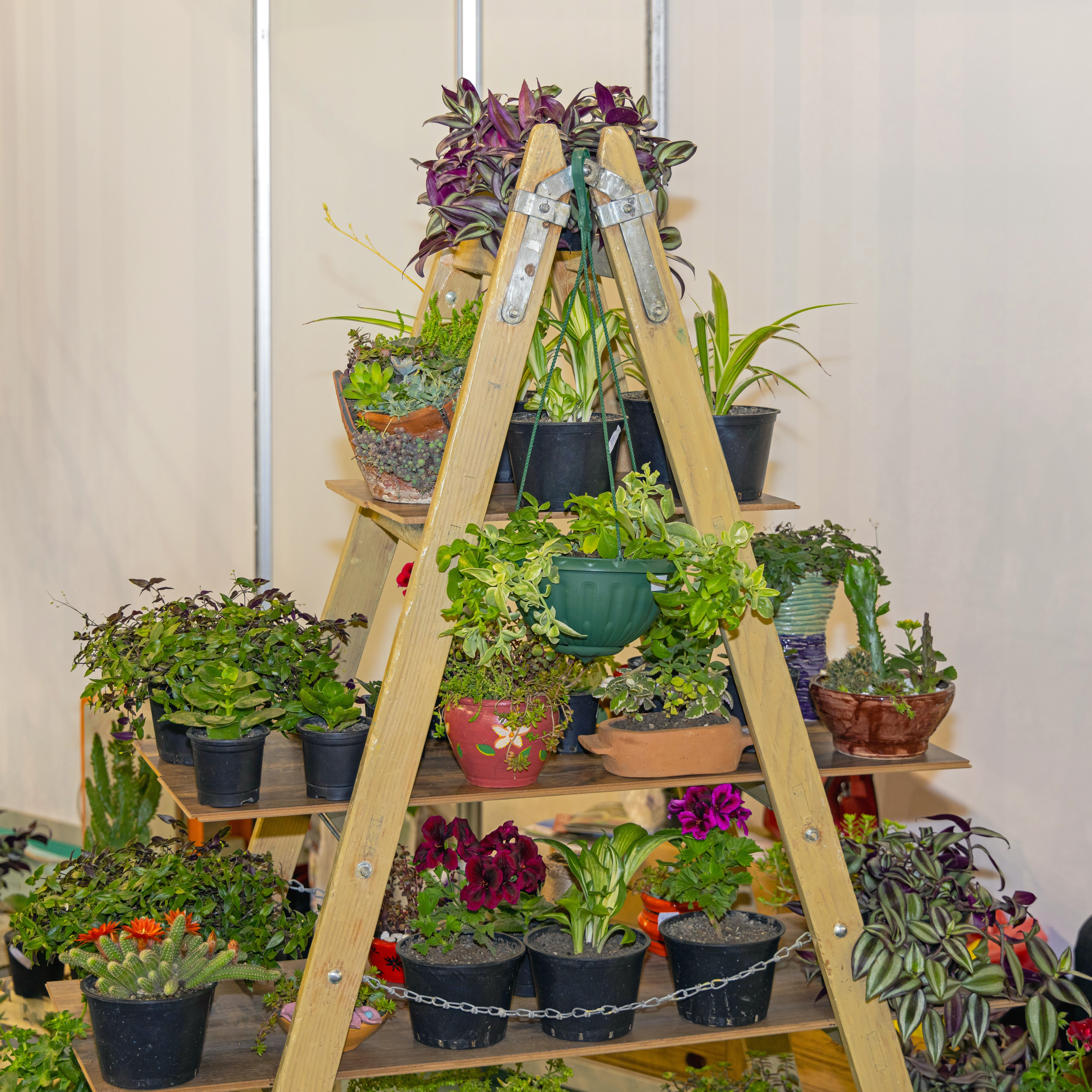 Creative garden upcycling idea using a wooden ladder as a vertical flower planter.