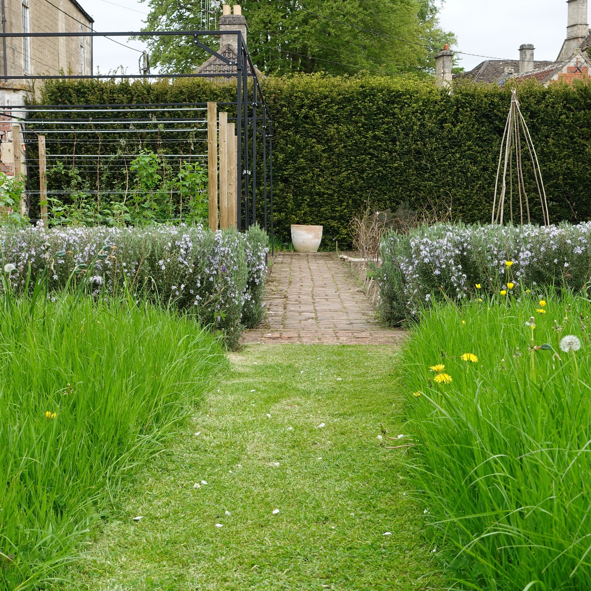 Mown path through longer grass and wildflowers in a well-maintained garden.