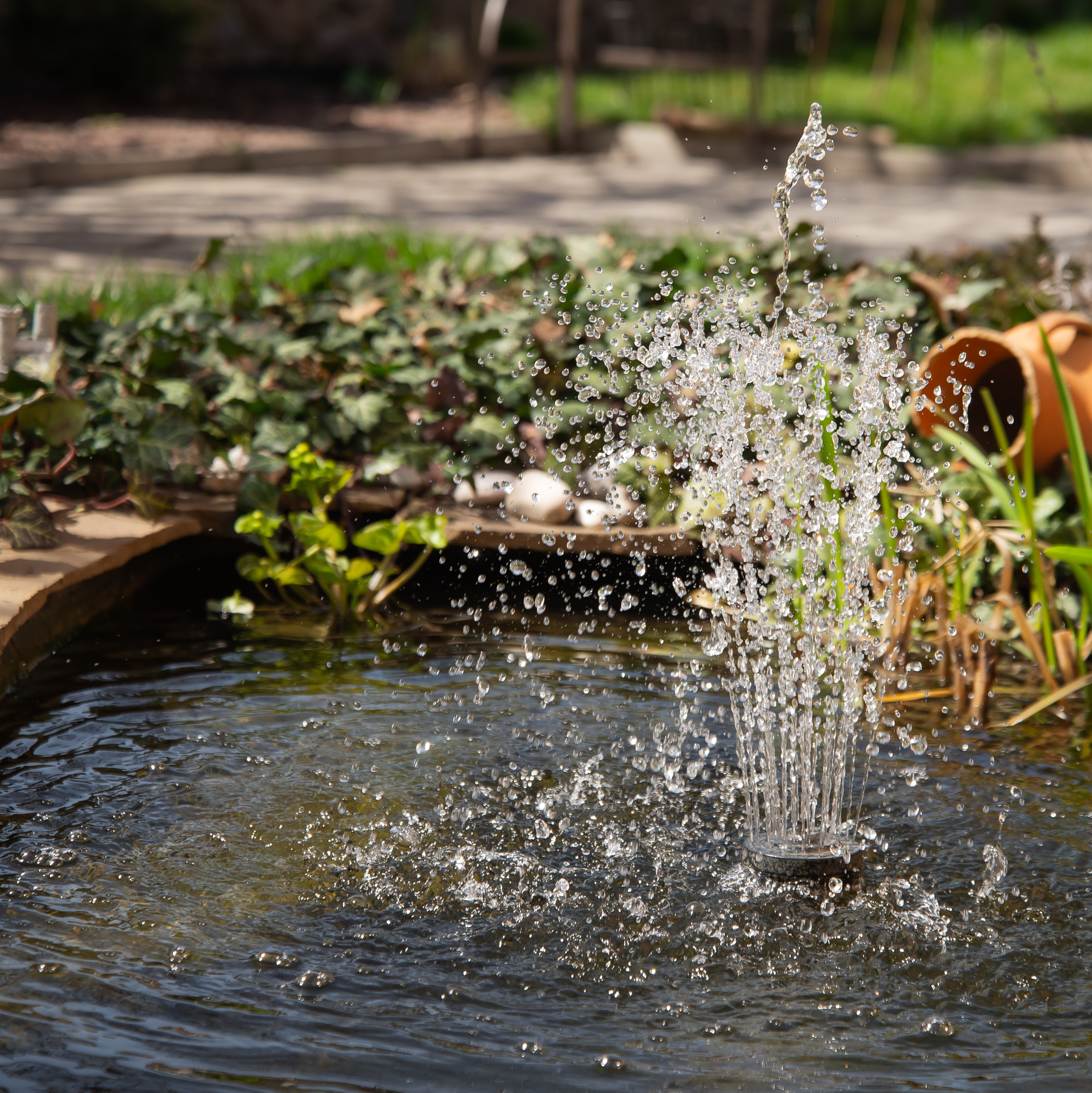 A small garden pond with a water fountain