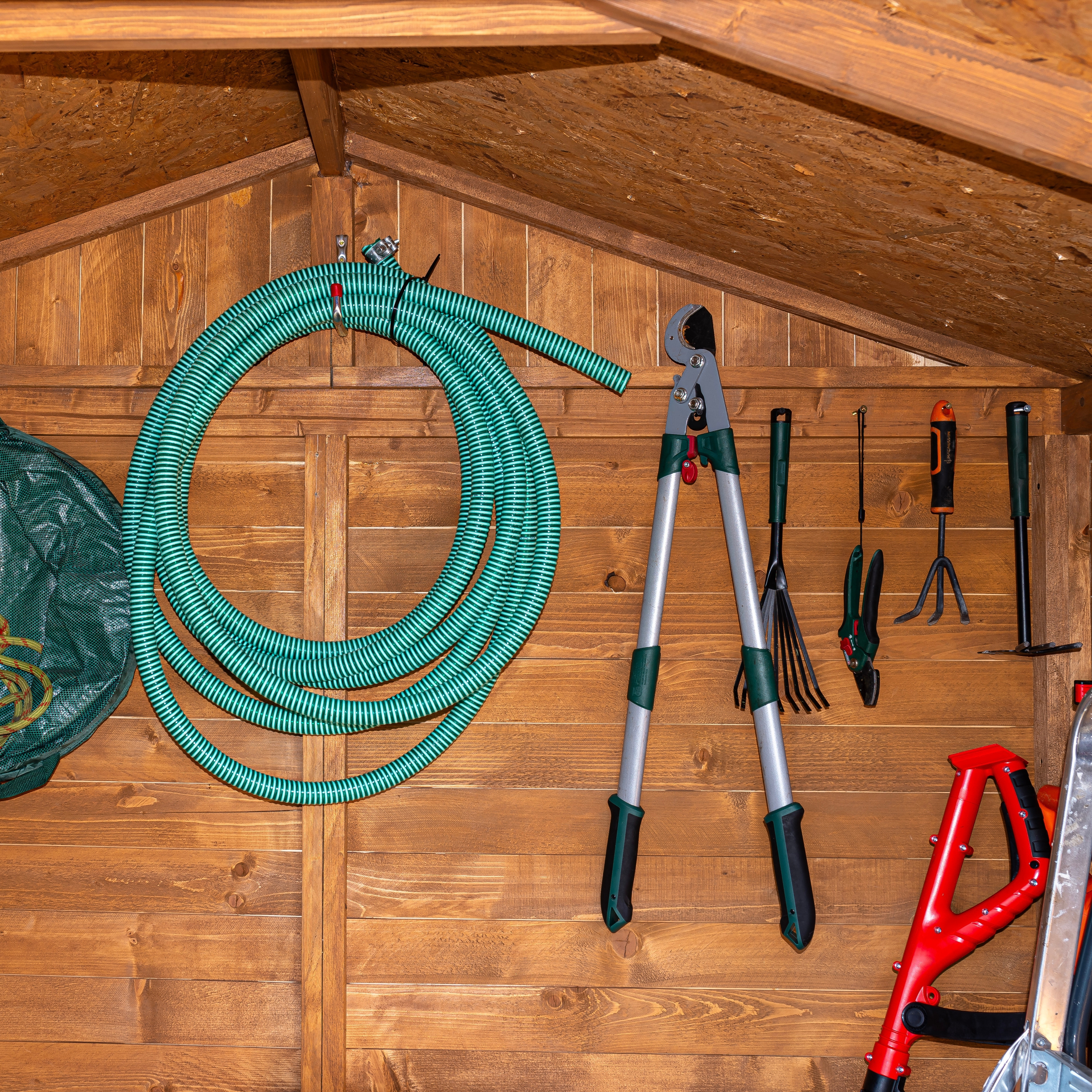A tidy garden shed with tools hanging on a wall