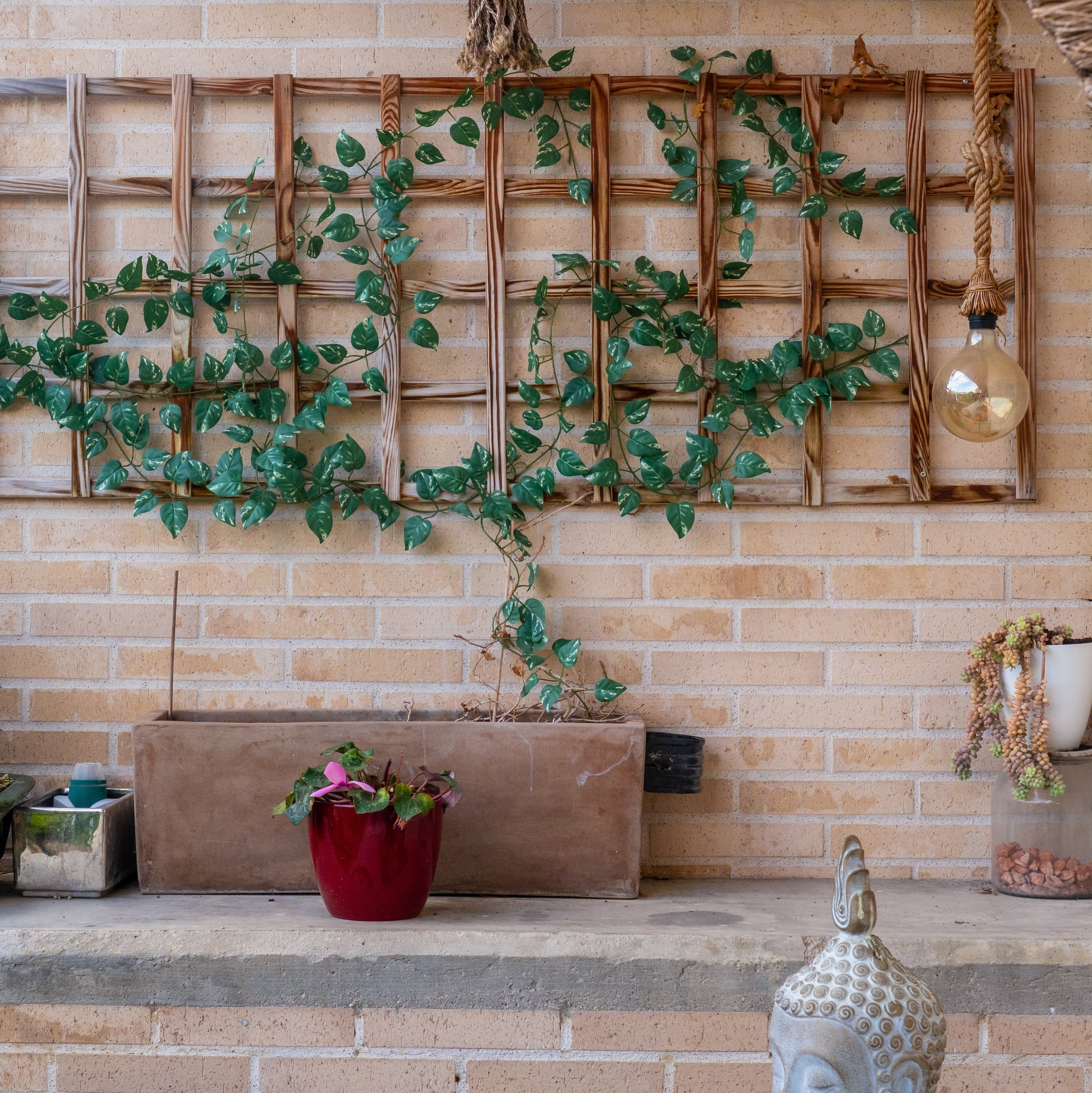 Illustration of vertical balcony gardening using a wooden trellis to grow climbing plants and maximise space