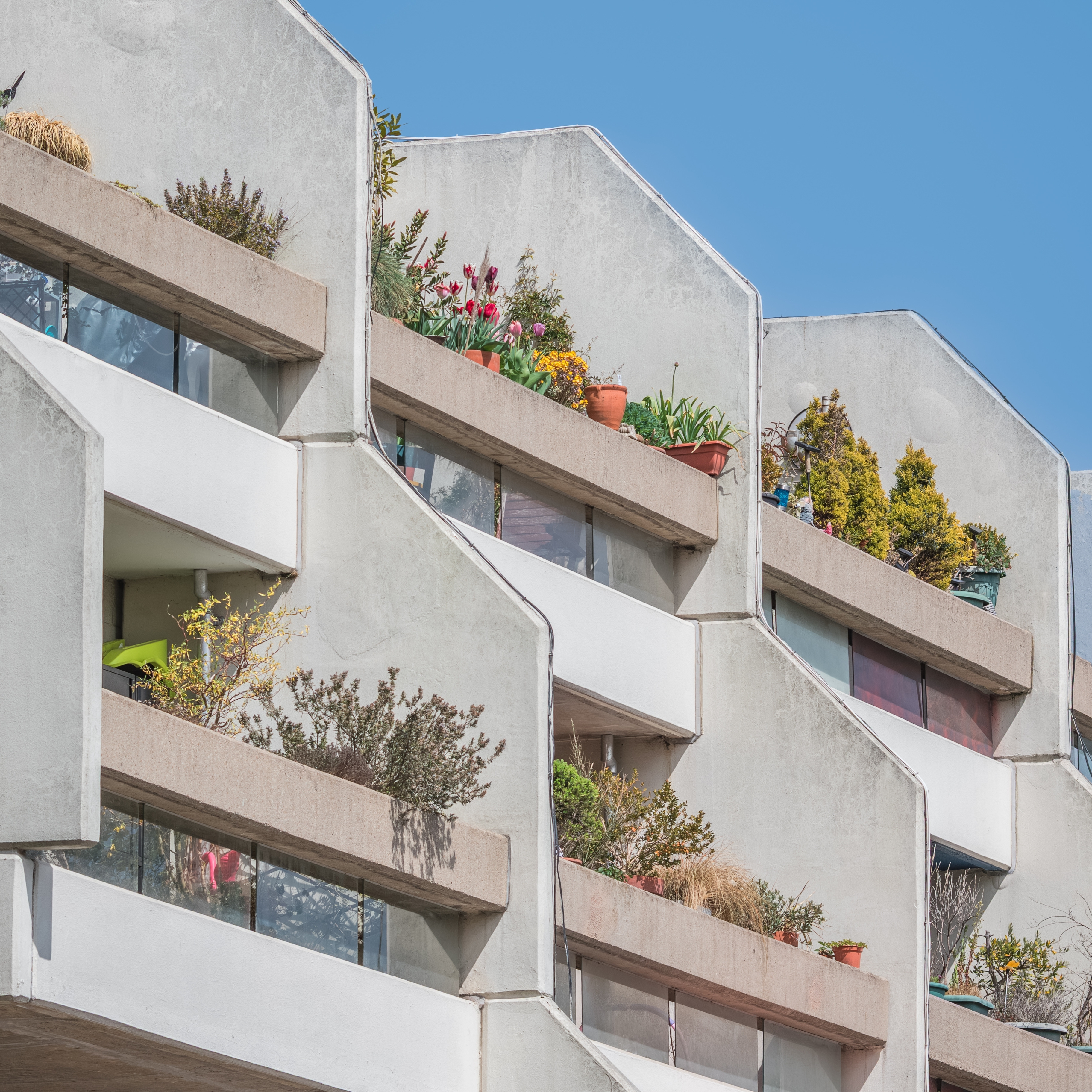 Urban apartment balconies planted with containers, shrubs and seasonal flowers